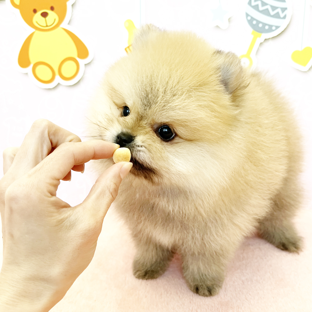 今日から２月！